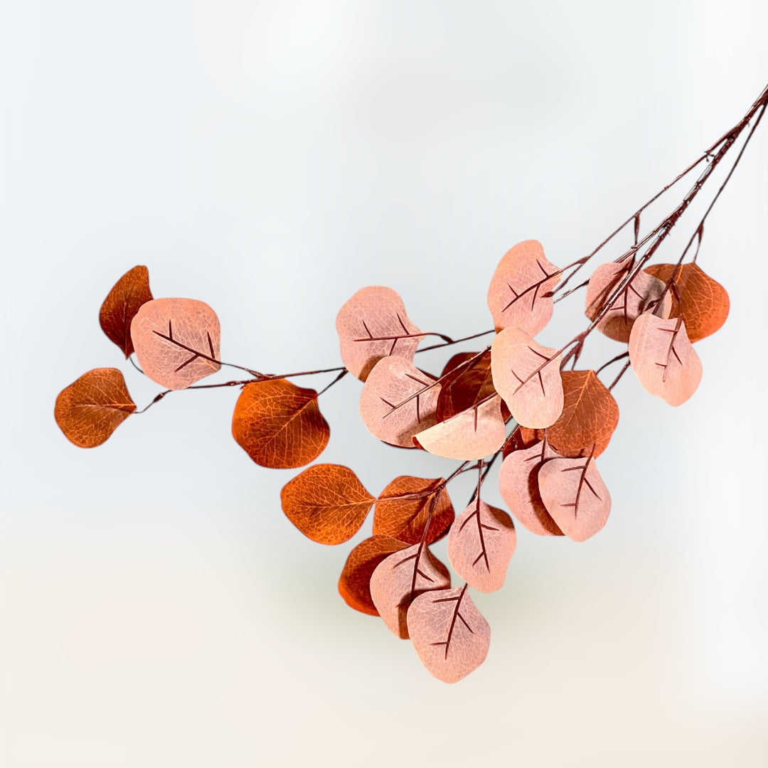 Wine burgundy Eucalyptus leaves