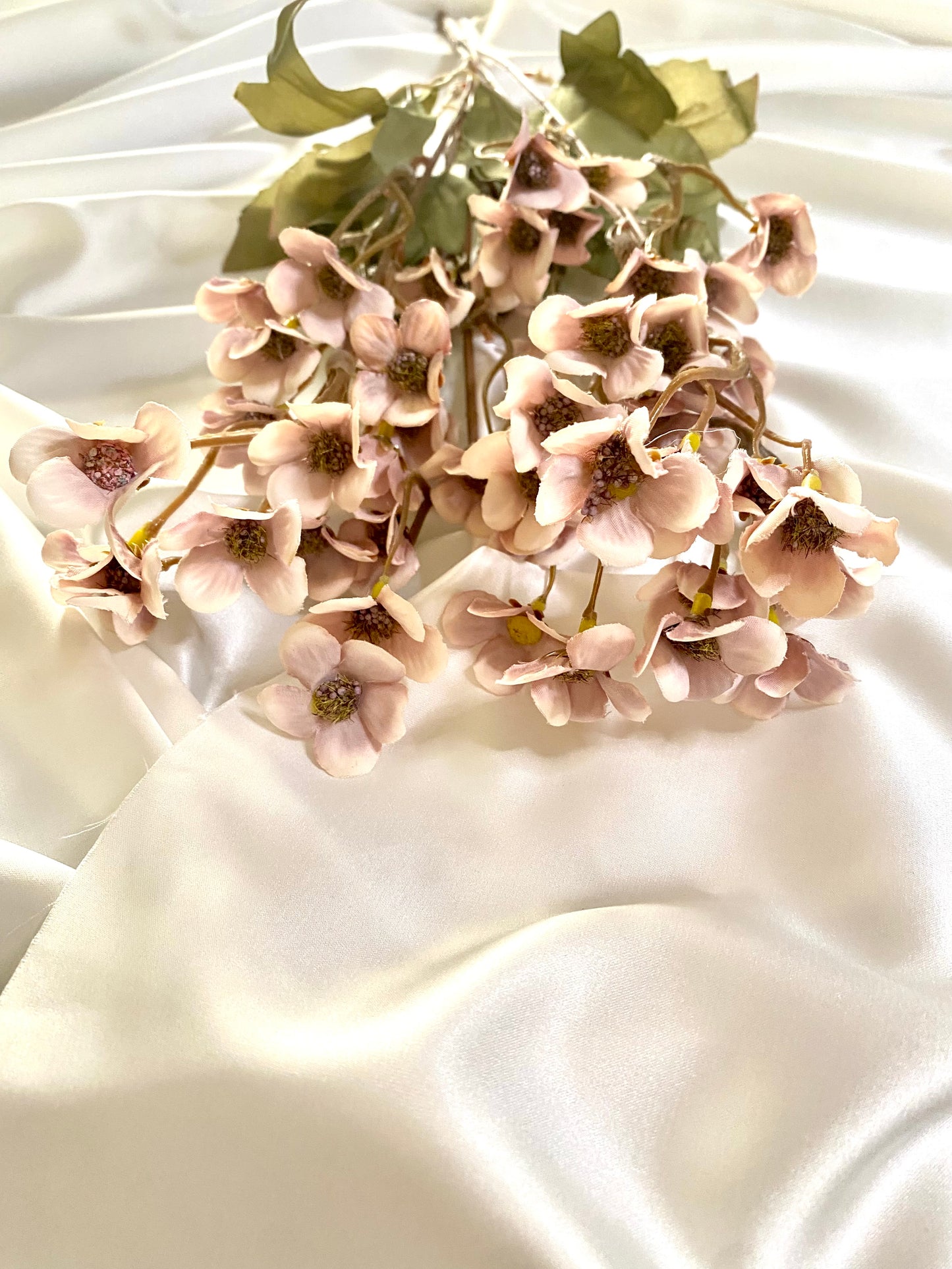 Pink cherry blossom branch