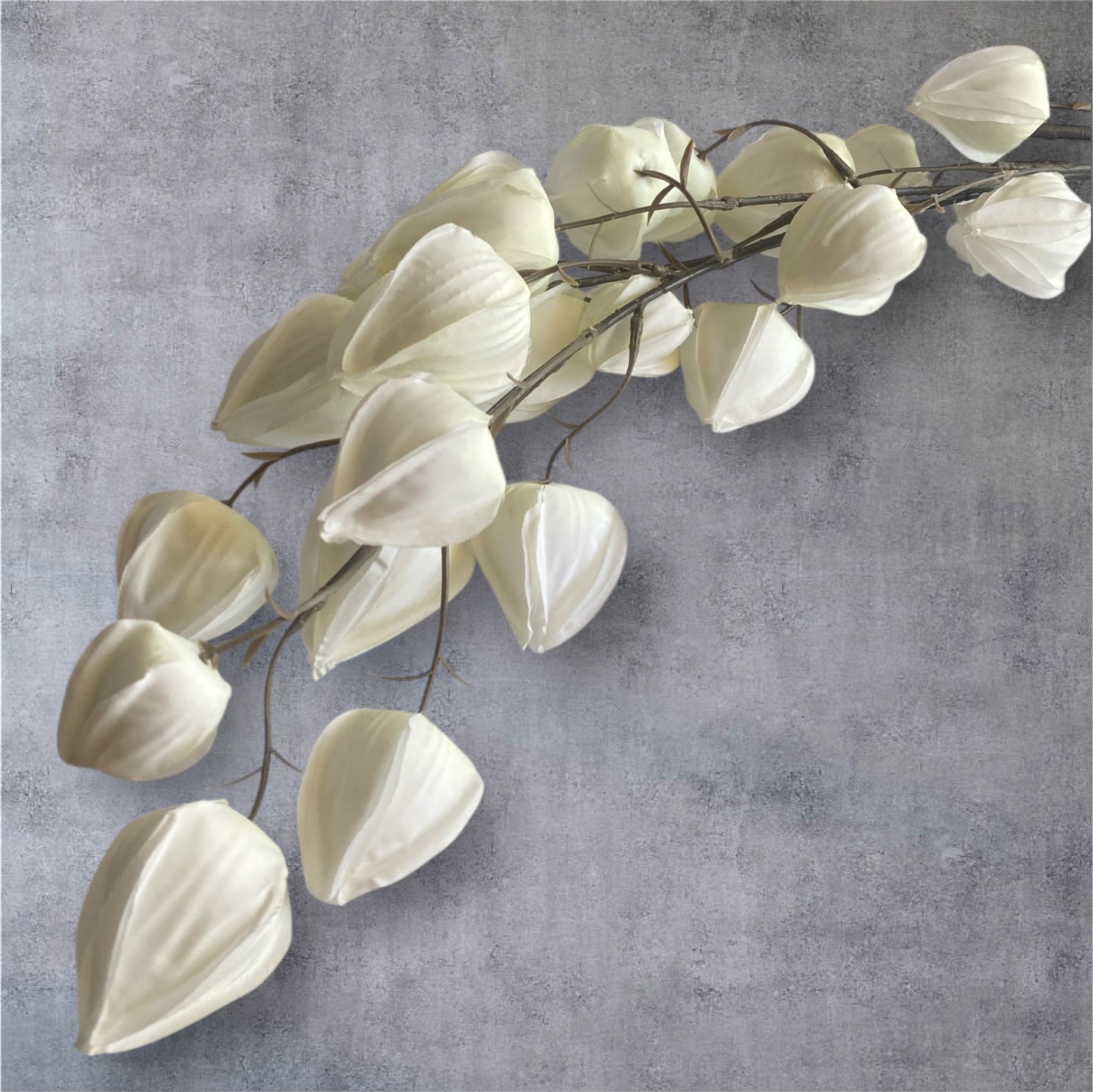 Lantern bud stem cream