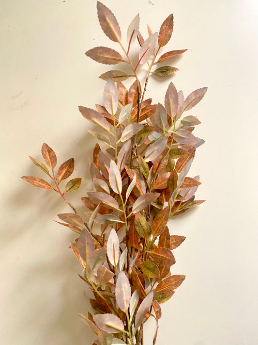 Eucalyptus Fall stem