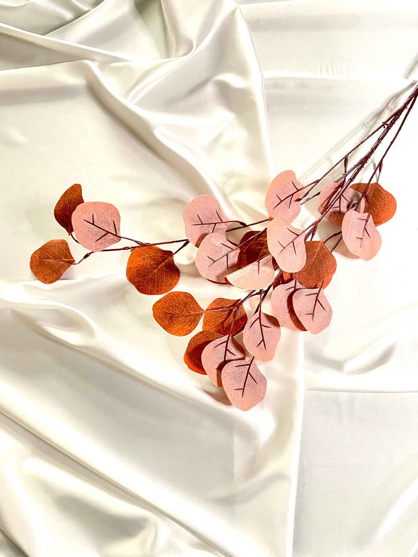 Wine burgundy Eucalyptus leaves