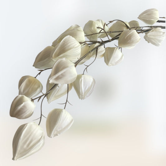 Lantern bud stem cream