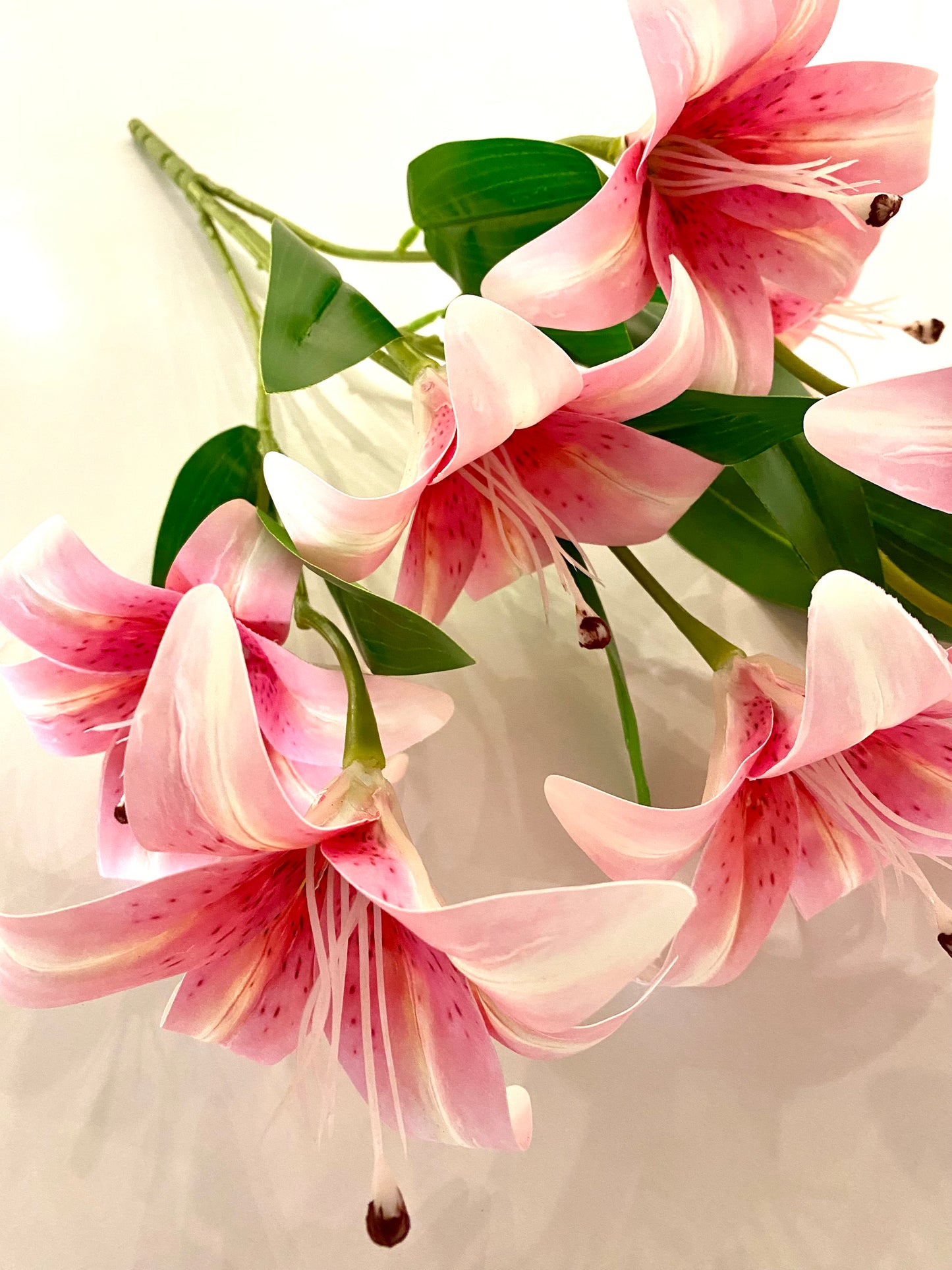 Pink Lily Boutique