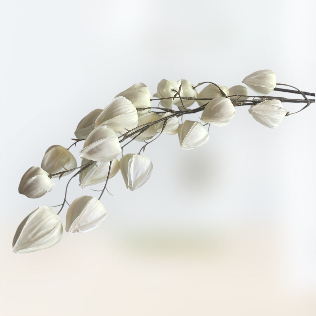 Lantern bud stem cream