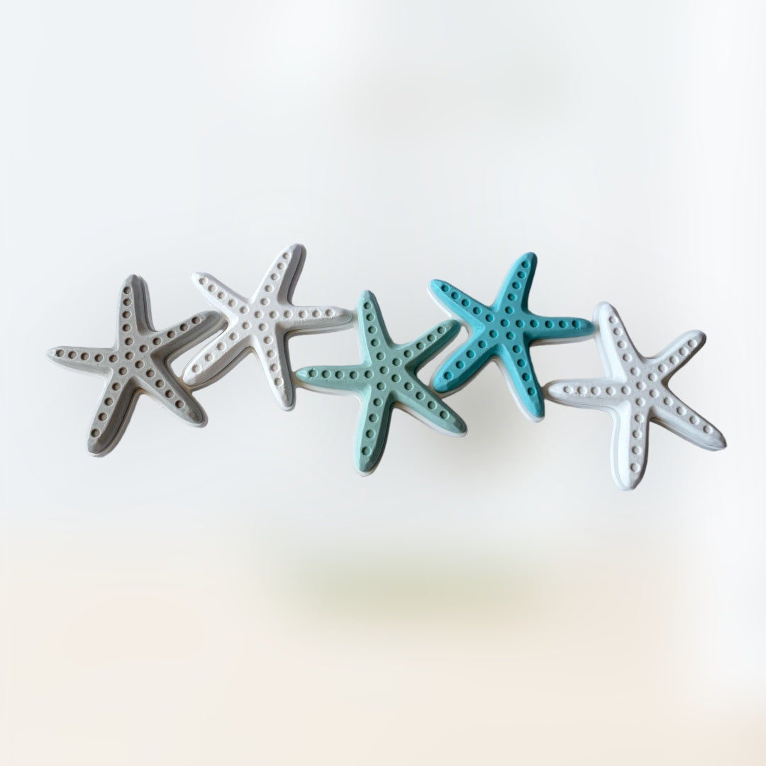 Starfish Wall Decor