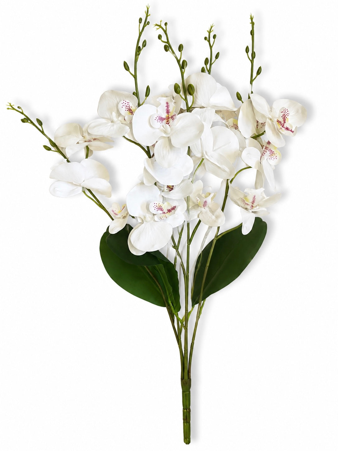 White Orchid Spray