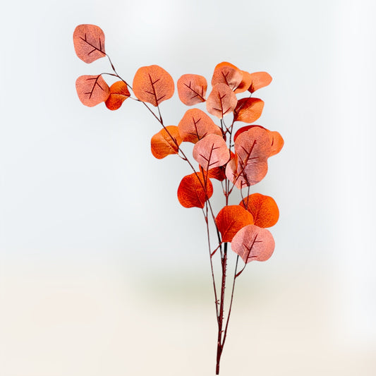 Wine burgundy Eucalyptus leaves