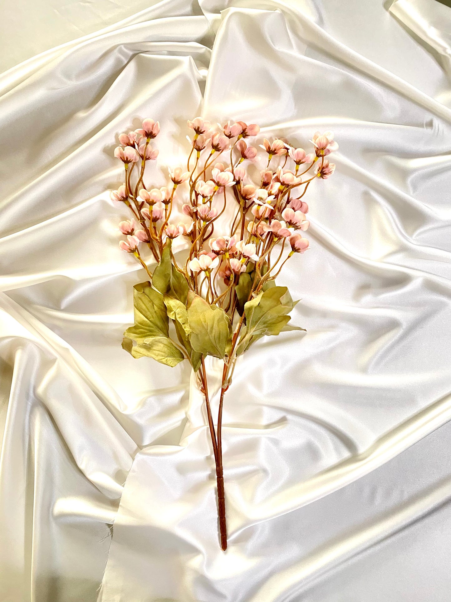 Pink cherry blossom branch