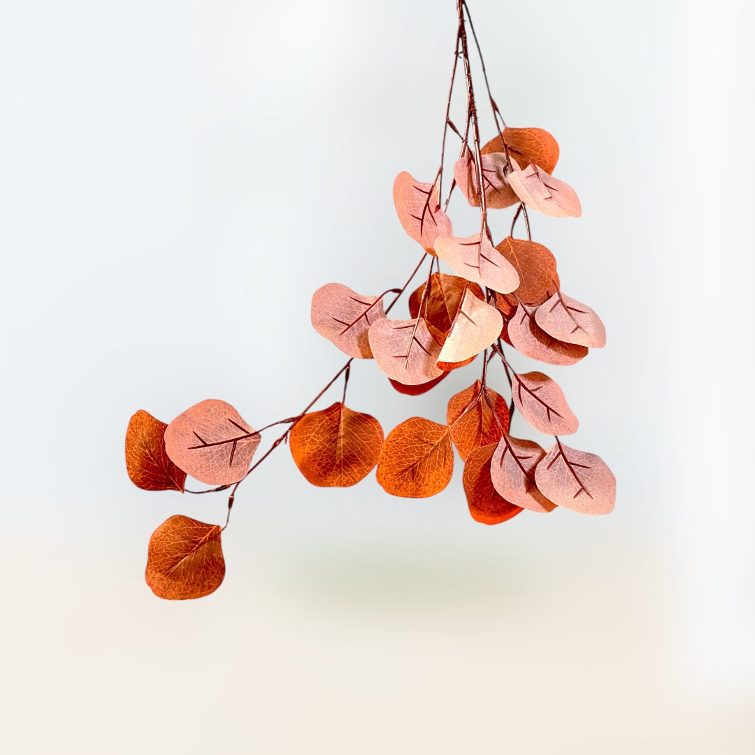 Wine burgundy Eucalyptus leaves