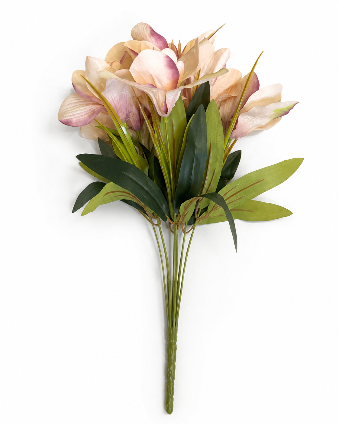 Blush Magnolia