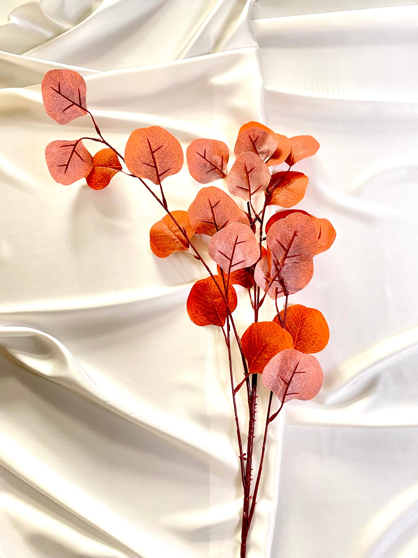 Wine burgundy Eucalyptus leaves