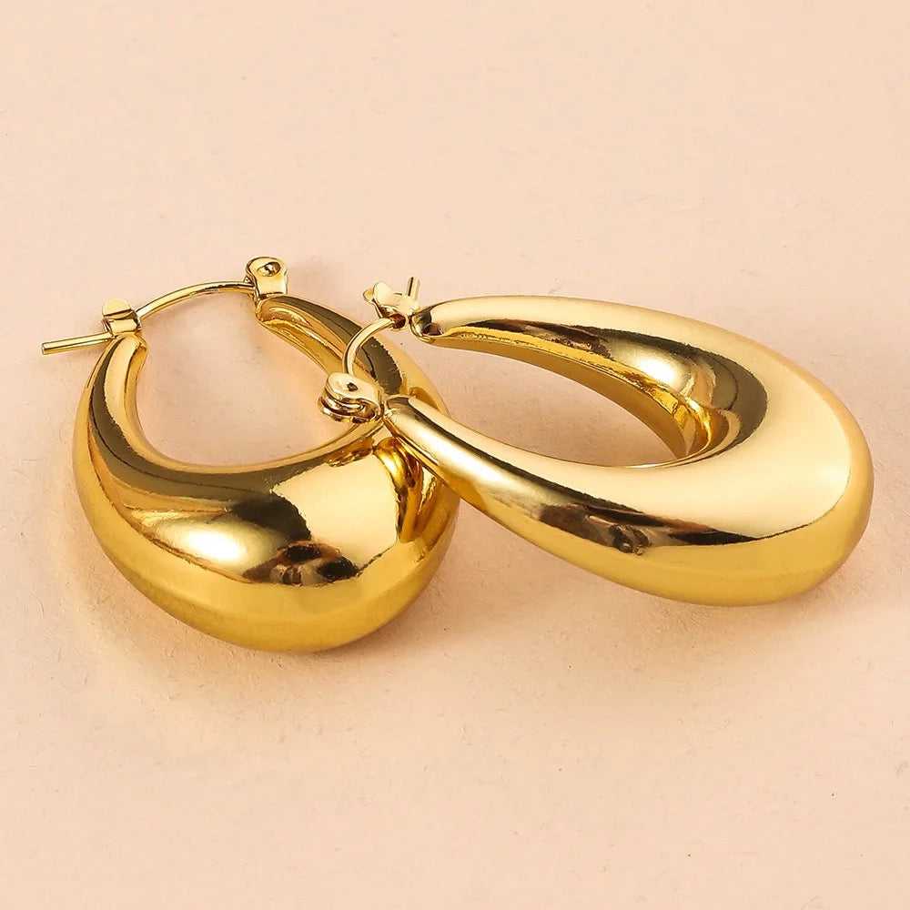 Oval Chubby Earrings