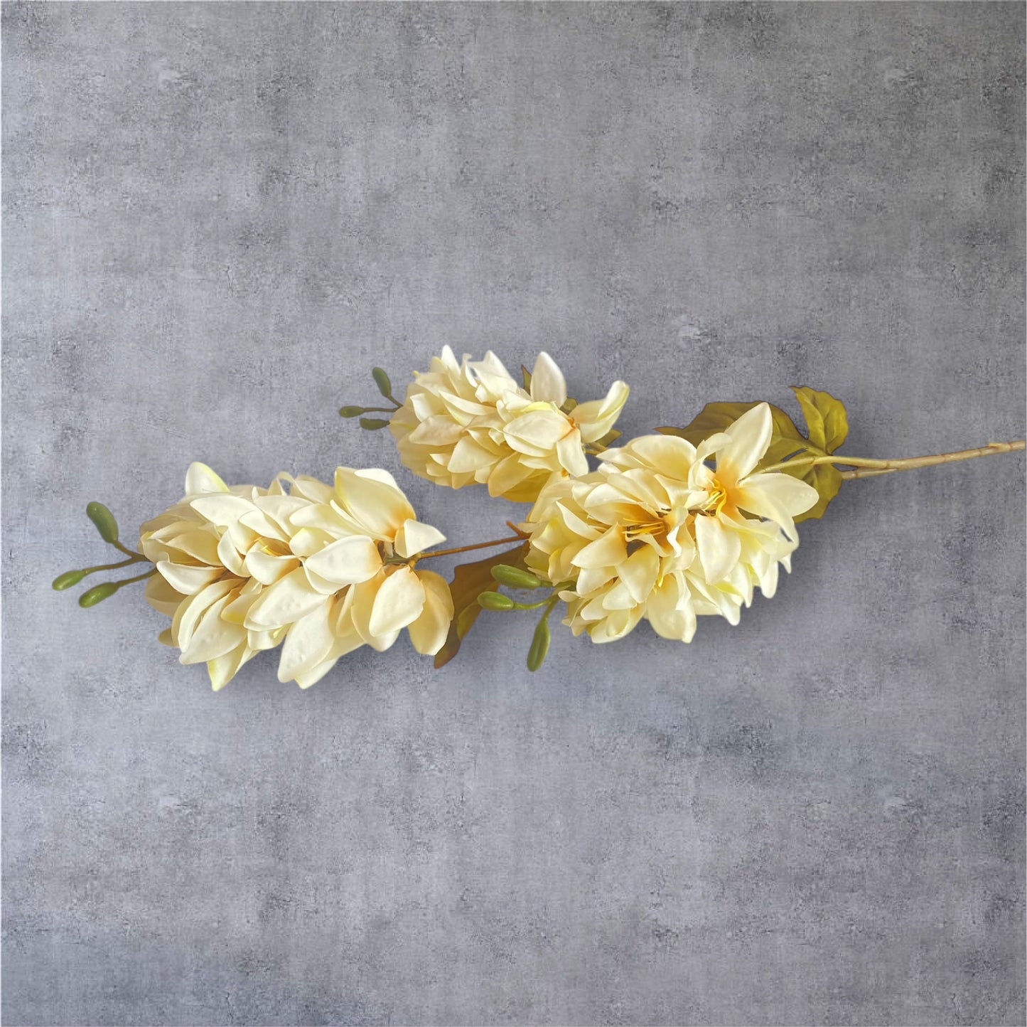 Gladiola flowers
