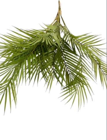 Arica Palm Leaf