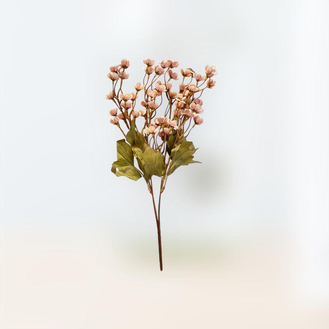 Pink cherry blossom branch