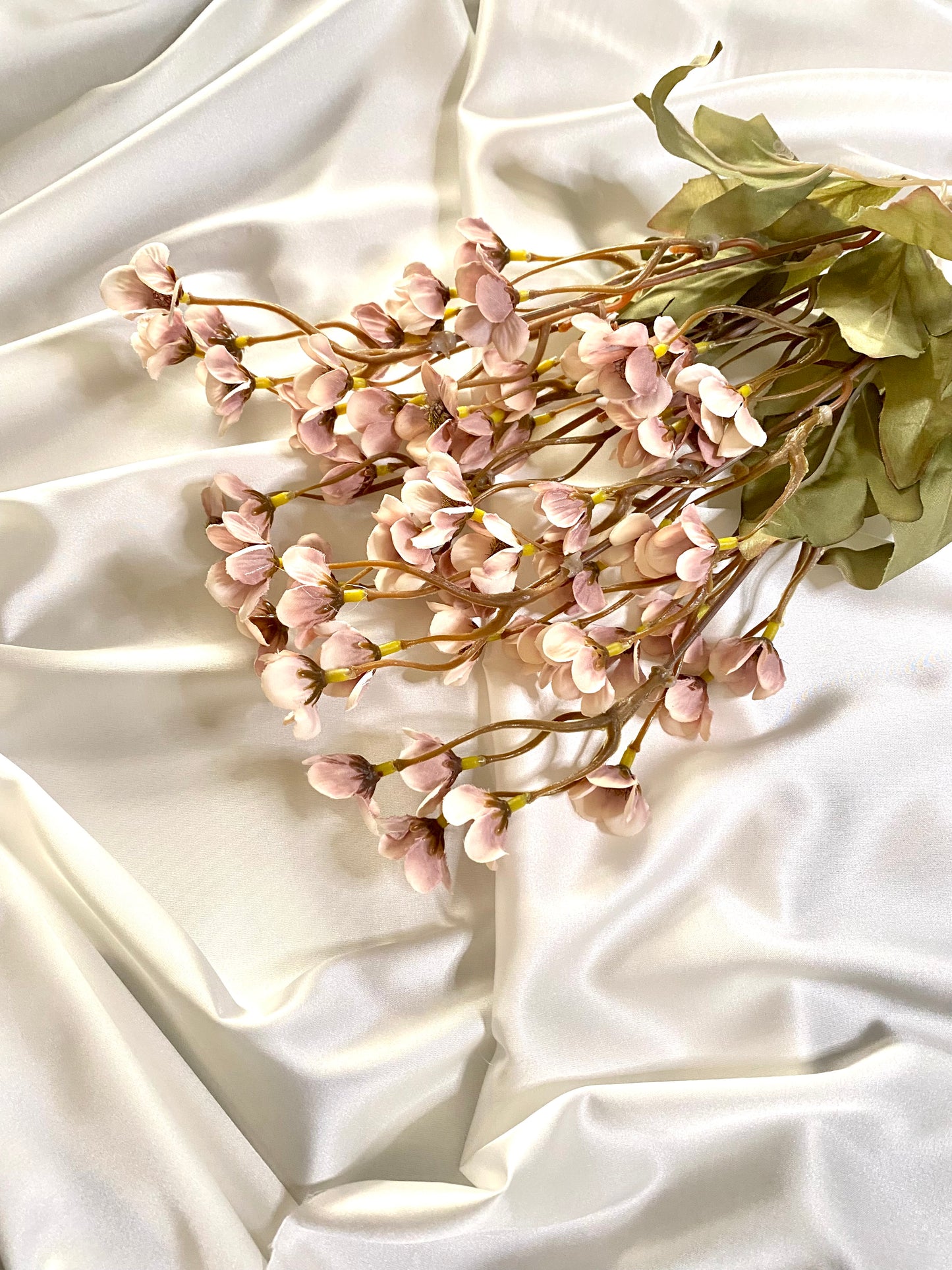 Pink cherry blossom branch