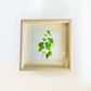Photo Frame-c