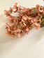 Peach Cherry Blossom Branch