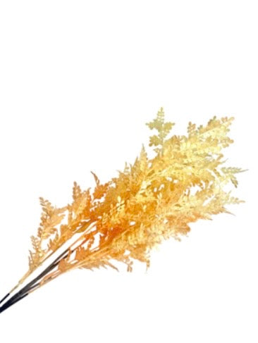 Wild Golden Meadow Stem