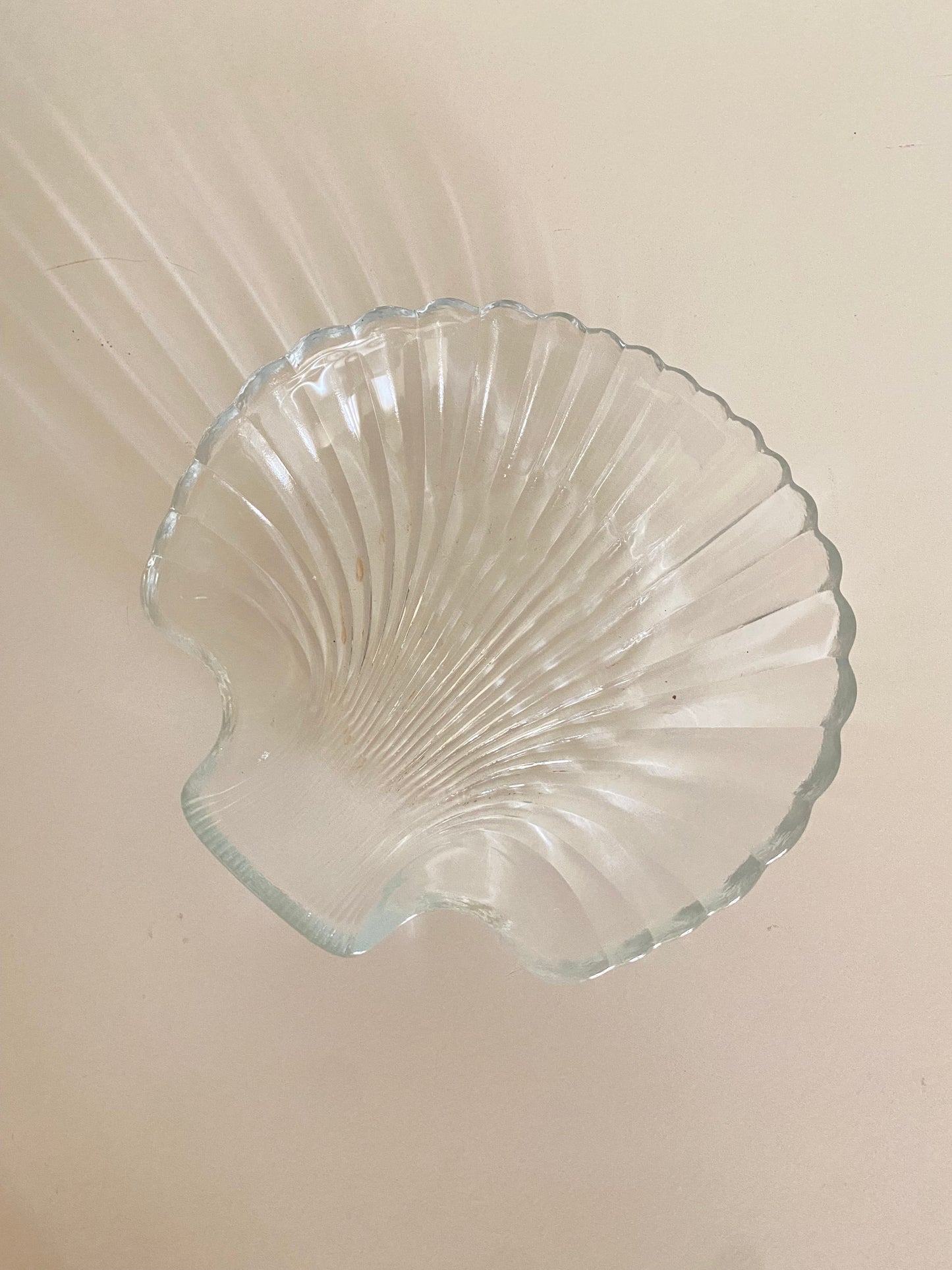 Glass plates-set of 6
