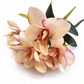 Blush Magnolia