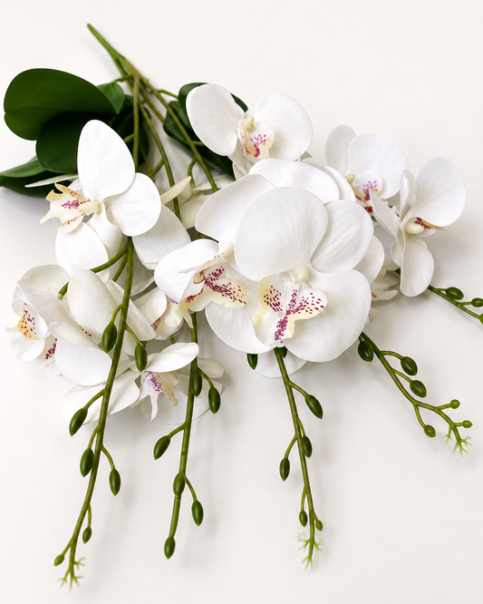 White Orchid Spray