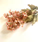 Peach Cherry Blossom Branch