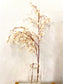 Off-White Blossom Stem