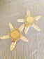Starfish candle holder