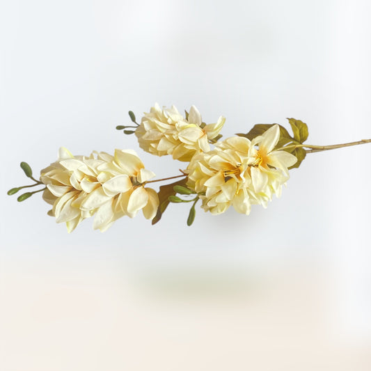 Gladiola flowers
