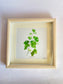 Photo Frame-c