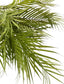 Arica Palm Leaf
