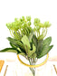 Green leaves
