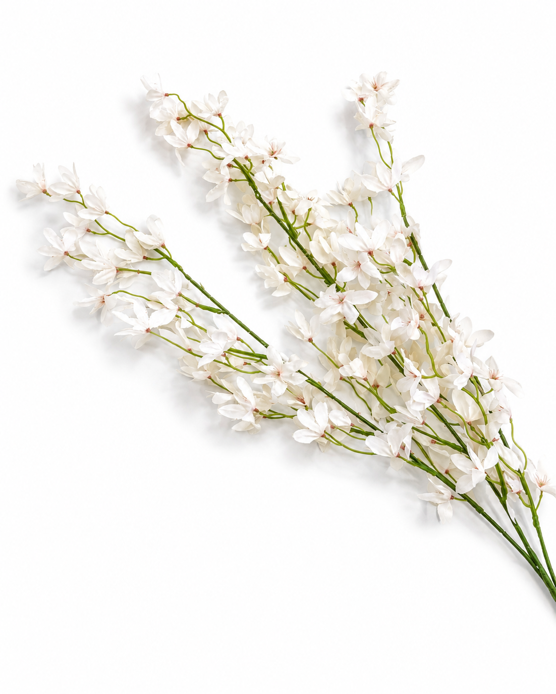 White Blossom Stem
