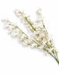 White Blossom Stem