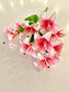 Pink Lily Boutique