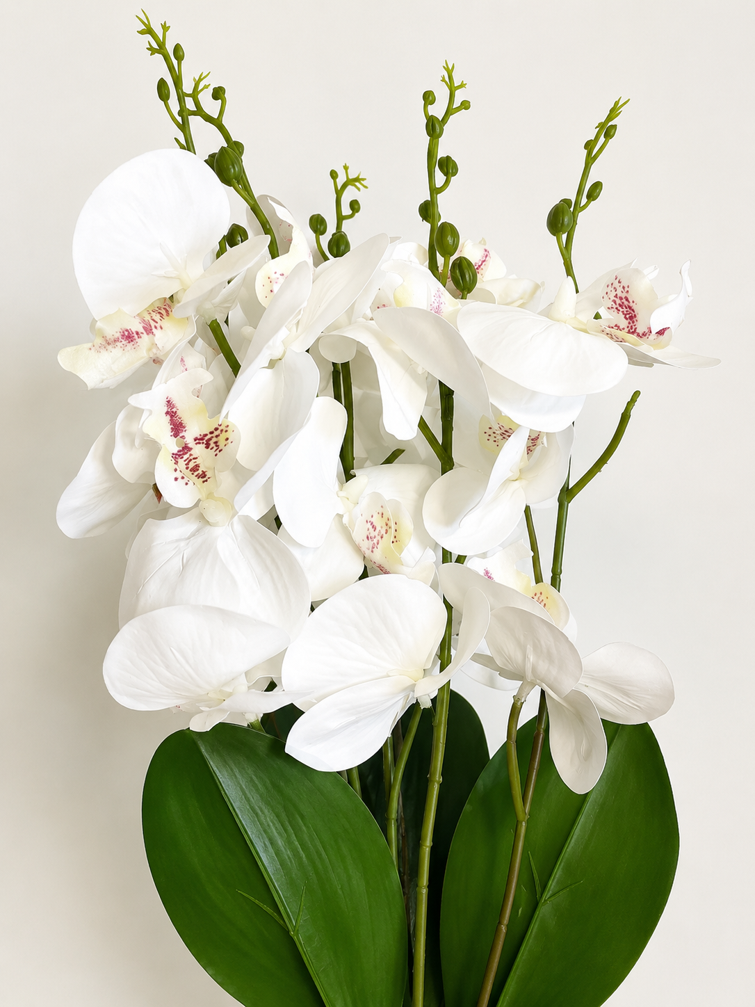 White Orchid Spray