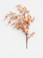 Delict Blossom Stem