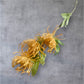 Protea flower