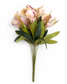 Blush Magnolia