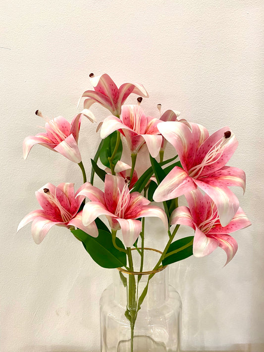 Pink Lily Boutique