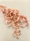 Delict Blossom Stem