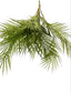 Arica Palm Leaf