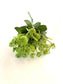 Green leaves