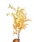 Wild Golden Meadow Stem