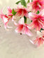 Pink Lily Boutique