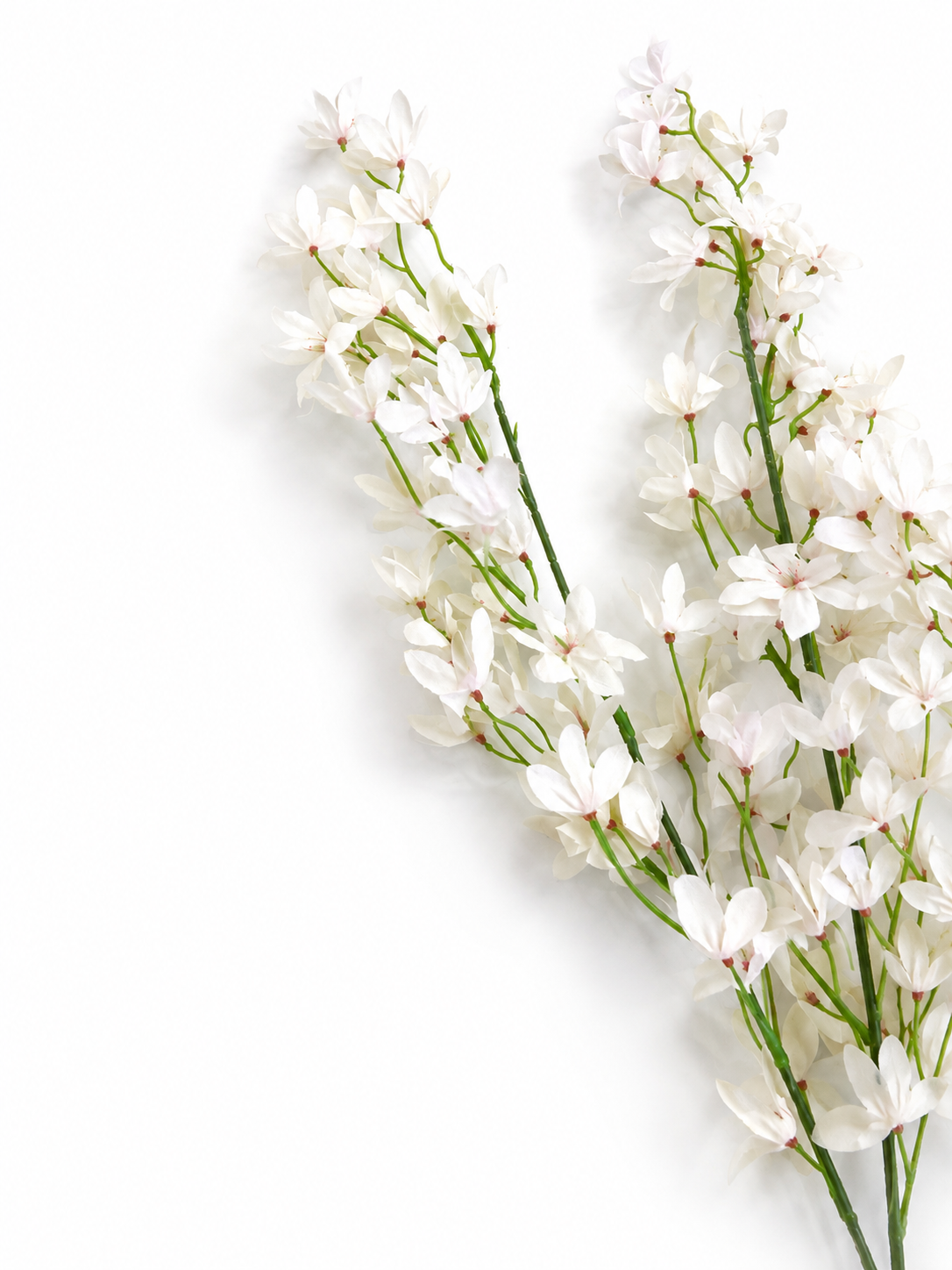 White Blossom Stem