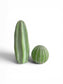 Sage Cactus Sculpture Set