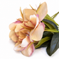 Blush Magnolia