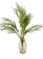 Arica Palm Leaf